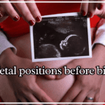 fetal positions before birth