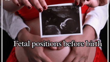 fetal positions before birth