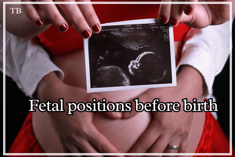 fetal positions before birth